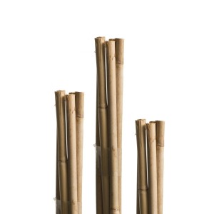 Pritka od bambusa Windhager WH 05612, 240 cm