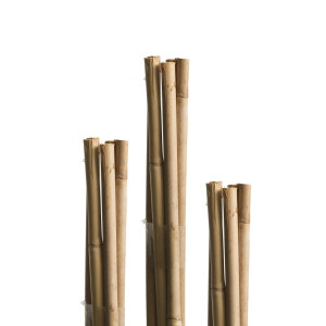 Pritka od bambusa Windhager WH 05610, 180 cm