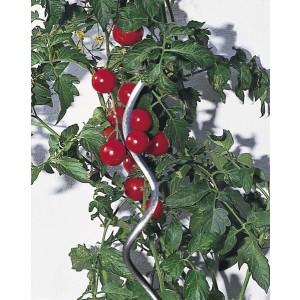 Pritka za paradajz spiralna Windhager WH 05636, 150 cm, pocinkovana