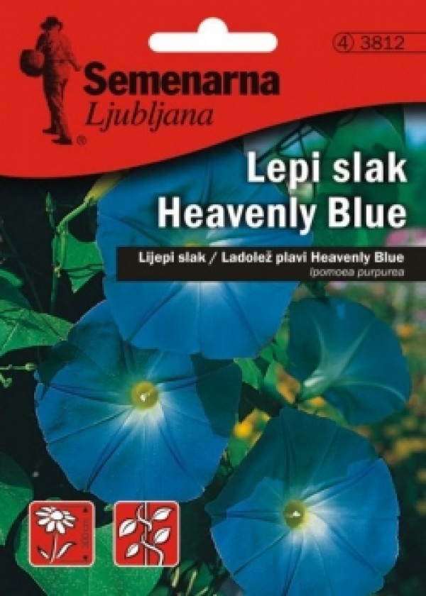 3812 LADOLEŽ PLAVI