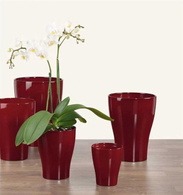 Saksija Za Orhideje 608 17 Cm Dark Red