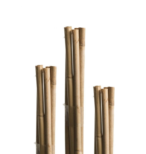 Pritka Od Bambusa Windhager Wh 05608 120 Cm